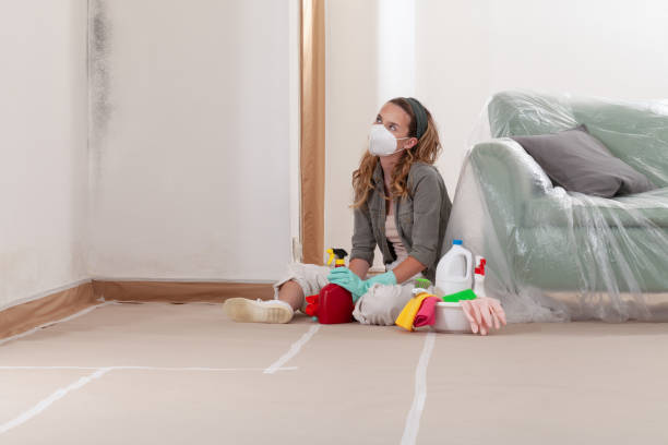 Reliable Mold Remediation contractor in Simpson, PA by Cheap Mold Removal